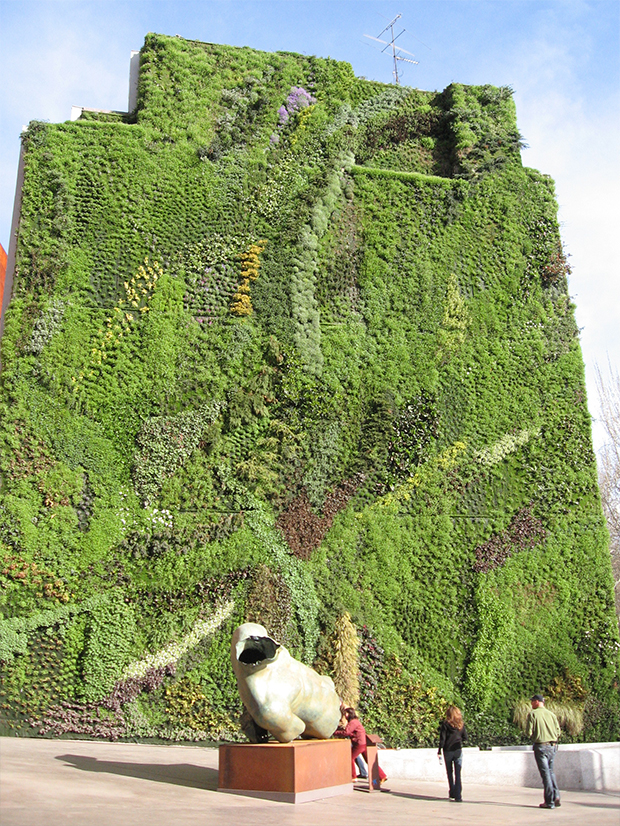 vertical-gardens-1 vertical gardens Eyes on the wall: breathtaking vertical gardens vertical gardens 1