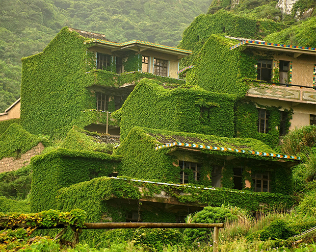 vertical-gardens-11 vertical gardens Eyes on the wall: breathtaking vertical gardens vertical gardens 11