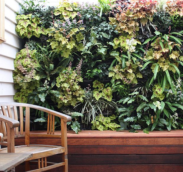vertical-gardens-4 vertical gardens Eyes on the wall: breathtaking vertical gardens vertical gardens 4