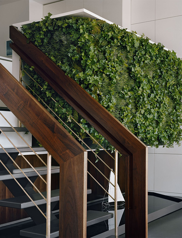 vertical-gardens-6 vertical gardens Eyes on the wall: breathtaking vertical gardens vertical gardens 6