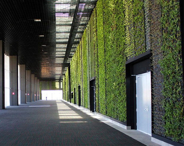 vertical-gardens-8 vertical gardens Eyes on the wall: breathtaking vertical gardens vertical gardens 8