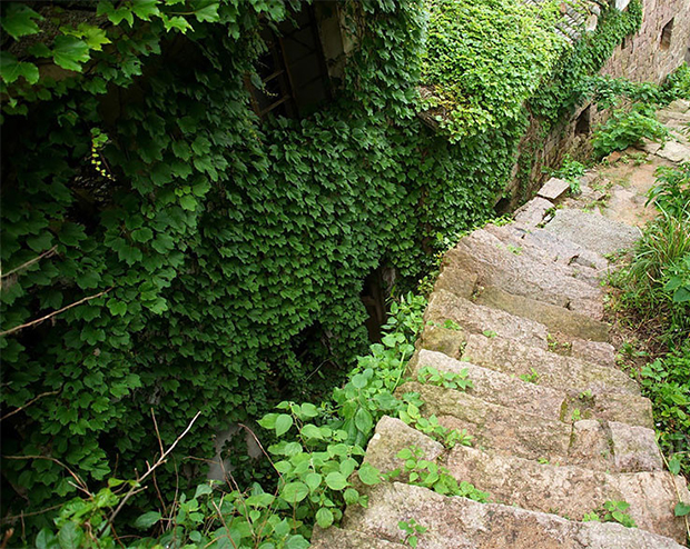 vertical-gardens-9 vertical gardens Eyes on the wall: breathtaking vertical gardens vertical gardens 9
