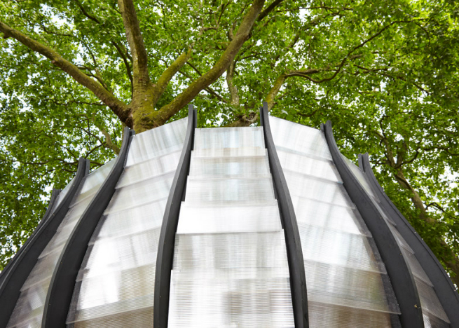 An office was created around a tree tunk in London 1