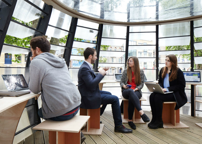 An office was created around a tree tunk in London 8