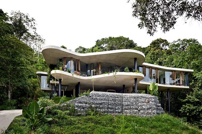 Architect Jesse Bennett elevates planchonella house within the Australian rainforest