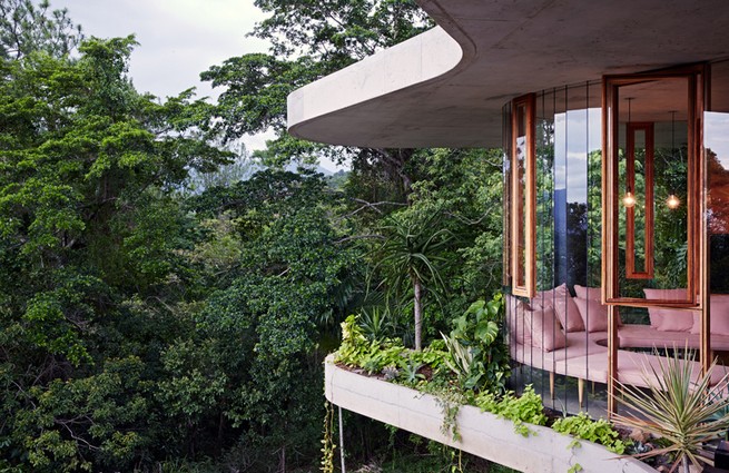 Architect Jesse Bennett elevates planchonella house within the Australian rainforest