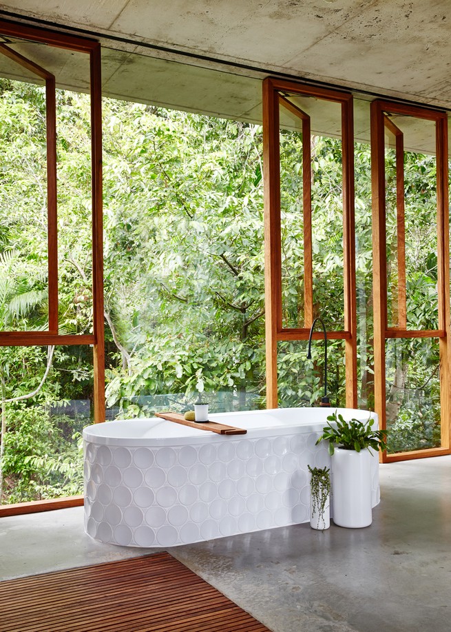 Architect Jesse Bennett elevates planchonella house within the Australian rainforest