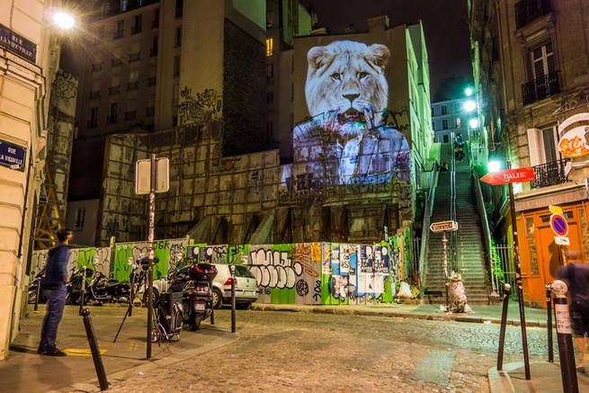 A safari of smartly-dressed wildlife on the streets of Paris projected by Julien Nonnon