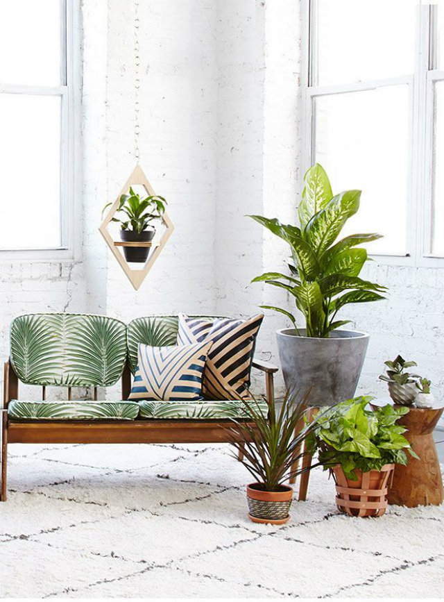 Nature Inspired Moodboard nature inspired moodboard Nature Inspired Moodboard Moodboard Nature indoor plants