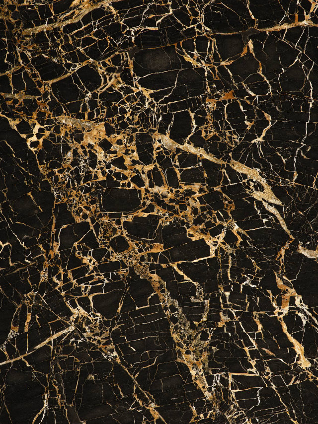 Rich Gold Marble  Rich Gold Marble portoro gold 02