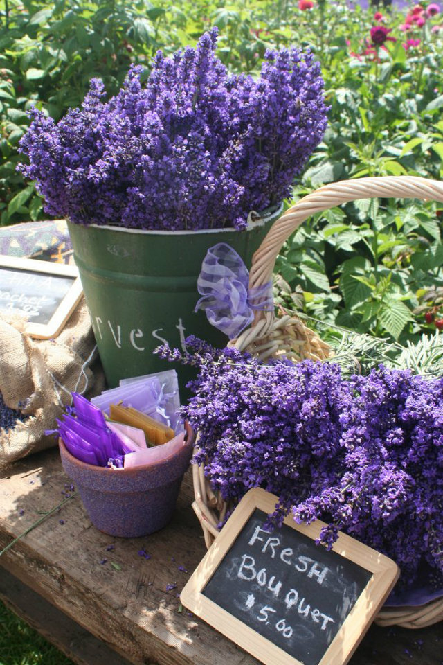 Home Decor home decor Mood Board: Summer Flowers Color Inspiration in Your Home Decor Flower Mood Board Lavander