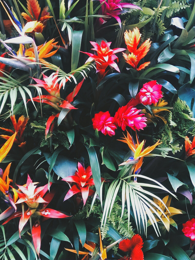 Mood Board: Summer Flower Color Inspiration home decor Mood Board: Summer Flowers Color Inspiration in Your Home Decor Flower Mood Board Tropical