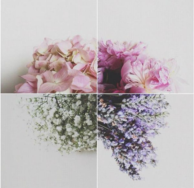 4 flower collage home decor Mood Board: Summer Flowers Color Inspiration in Your Home Decor Flower Mood Board collage four