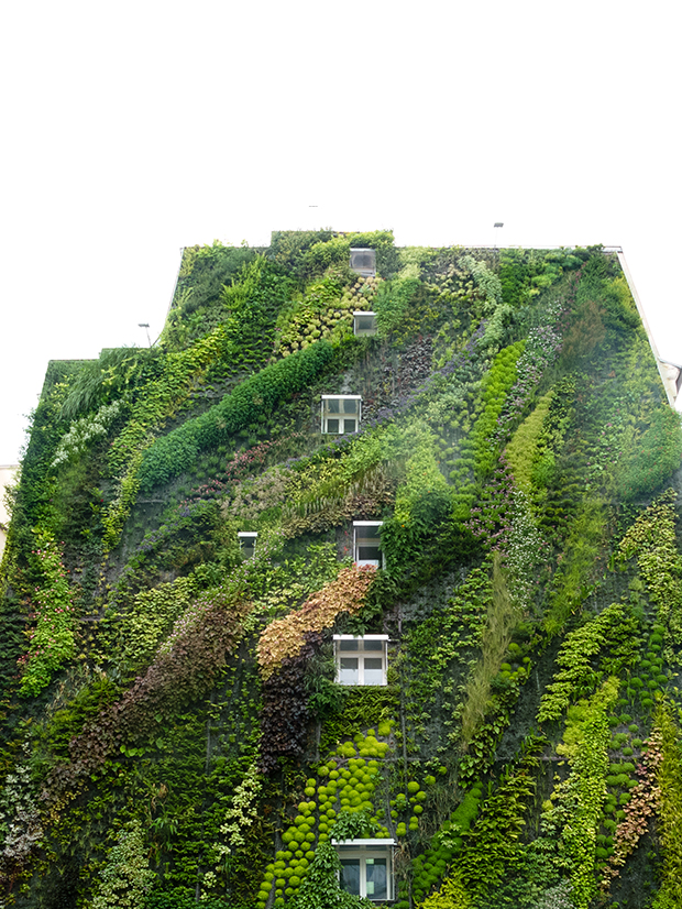 vertical gardens Eyes on the wall: breathtaking vertical gardens vertical gardens 5