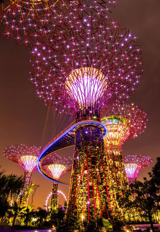 Singapore Inspiration: City in a Garden in Singapore Cover Gardens by the bay