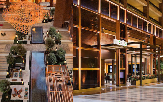 Get Inspired By EDG Projects edg Get Inspired By EDG Projects retina Hilton Anatole Retina 04