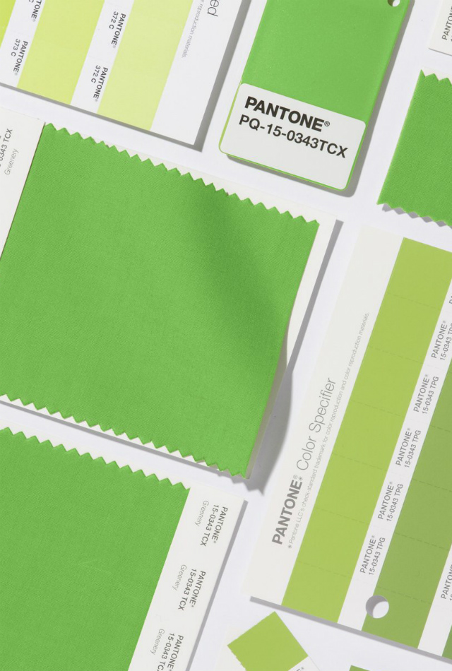 Greenery Mood: Best Inspiration With Color Of The Year pantone color of the year 2017 Greenery Mood: Best Inspiration With Pantone Color Of The Year 2017 00 holding greenery pantone color of the year bellanaija