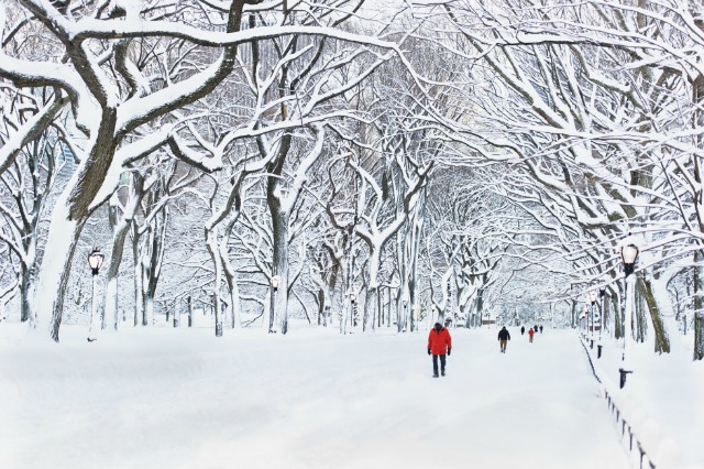 10 Dreamy Winter Destinations For Every Snow Lover winter destinations 9 Dreamy Winter Destinations For Every Snow Lover central park