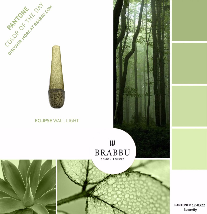 A Week In Colors: Four Color Trends To Add To Your Home Decor VIII: Butterfly home decor A Week In Colors: Four Color Trends To Add To Your Home Decor VIII Butterfly