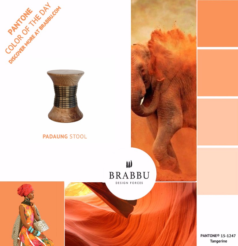 A Week In Colors: Four Color Trends To Add To Your Home Decor VIII: Tangerine home decor A Week In Colors: Four Color Trends To Add To Your Home Decor VIII Tangerine