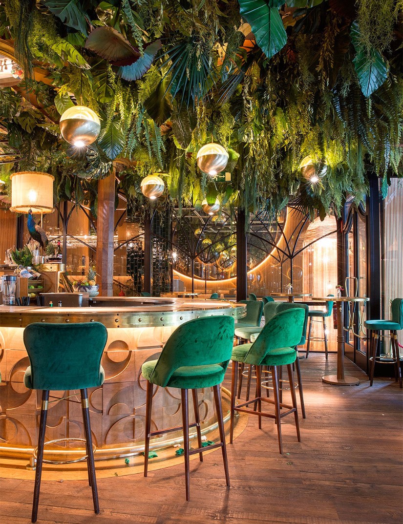 21-Must-Have-Upholstered-Bar-Chairs-That-Make-A-Statement-11 21-Must-Have-Upholstered-Bar-Chairs-That-Make-A-Statement-11 21 Must-Have Upholstered Bar Chairs That Make A Statement Upholstered Bar Chairs 20 Must-Have Upholstered Bar Chairs That Make A Statement 21 Must Have Upholstered Bar Chairs That Make A Statement 11