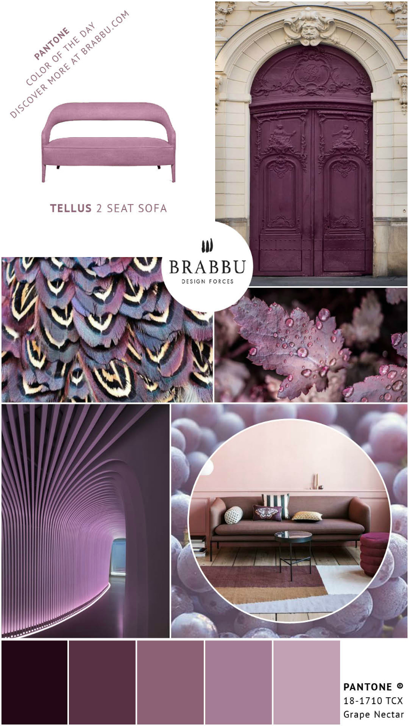 A Week In Colors: Five Color Trends To Add To Your Home Decor XI |home decor, color trends, modern interior design #colortrends #interiordesign #homedecor  home decor A Week In Colors: Five Color Trends To Add To Your Home Decor XI Grape Nectar