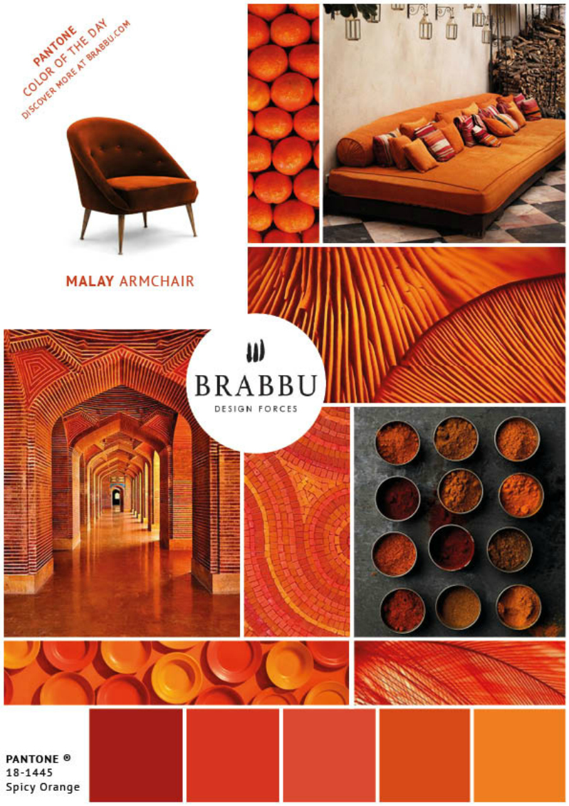 A Week In Colors: Five Color Trends To Add To Your Home Decor XI |home decor, color trends, modern interior design #colortrends #interiordesign #homedecor  home decor A Week In Colors: Five Color Trends To Add To Your Home Decor XI Spicy Orange