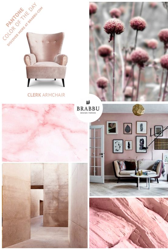 2018 color trends Pink Paint Shade: one of the 2018 color trends CAPA 552x820