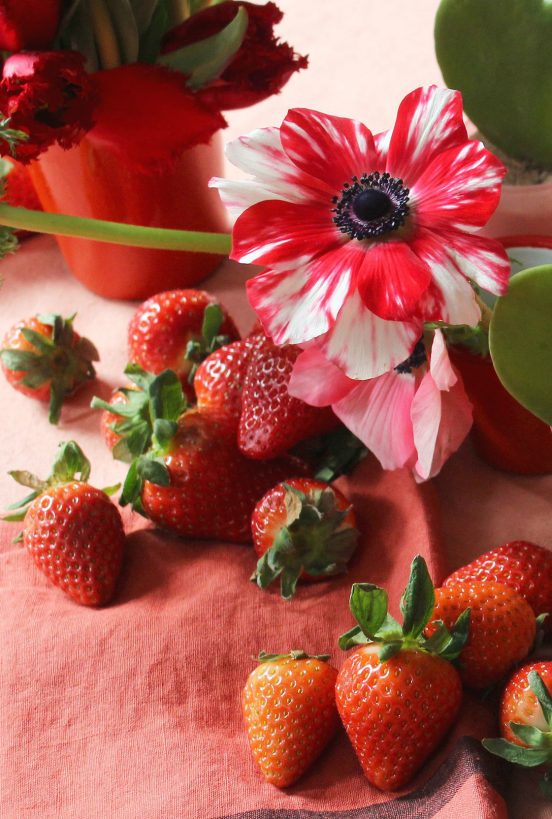 decorating tips decorating tips 15 decorating tips for my valentine celebration decorating tips 552x819