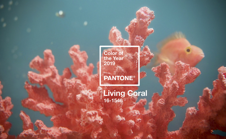 Pantone Color of 2019: Living Coral pantone color of 2019 The New Pantone Color of 2019: Living Coral Pantone Color of the Year