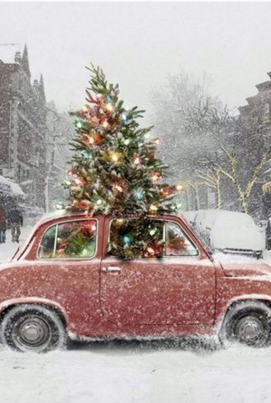 diy christmas tree Best 24 DIY Christmas Tree Ideas DYI Christmas Tree Ideas BRABBU