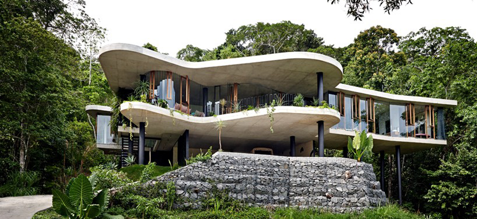 Architect Jesse Bennett elevates planchonella house within the Australian rainforest