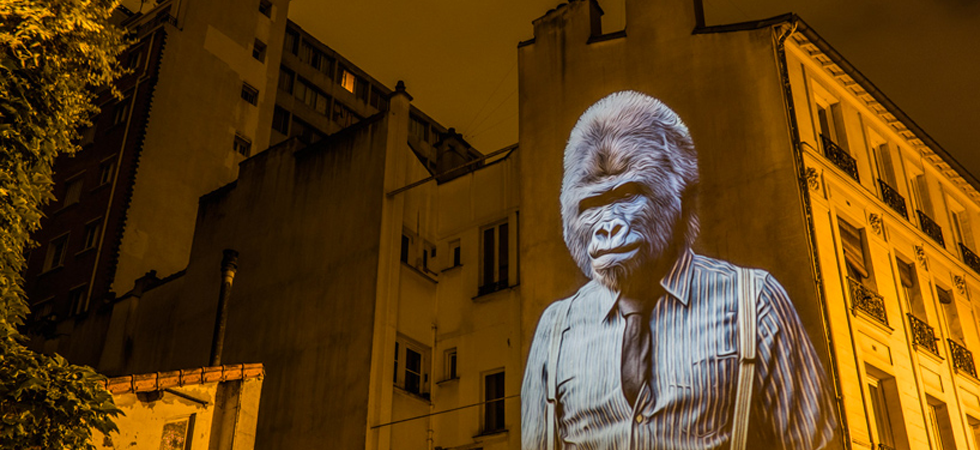 A safari of smartly-dressed wildlife on the streets of Paris projected by Julien Nonnon