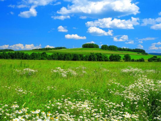 The Meadow: a social architecture project for refugees and homeless families