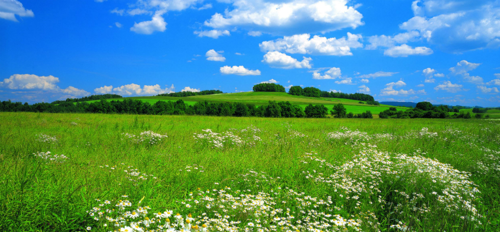 The Meadow: a social architecture project for refugees and homeless families