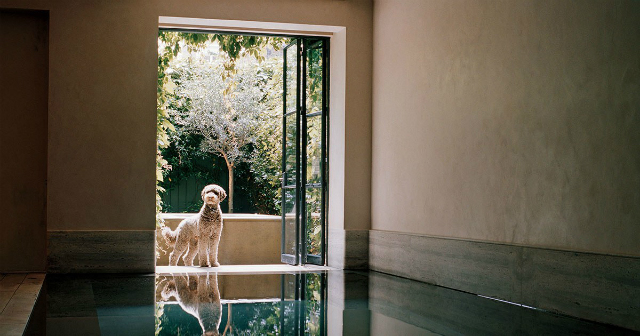 Meet the Interior Designer Rose Uniacke and your London Project House