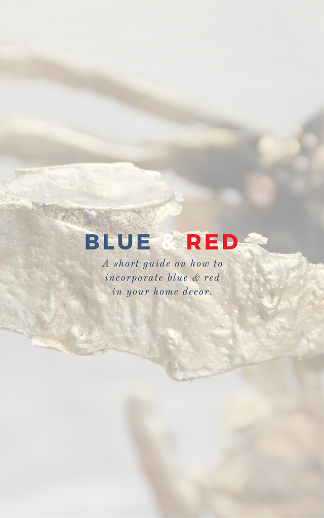 BRABBU Launches 4th Of July eBook Full Of Interior Design Ideas