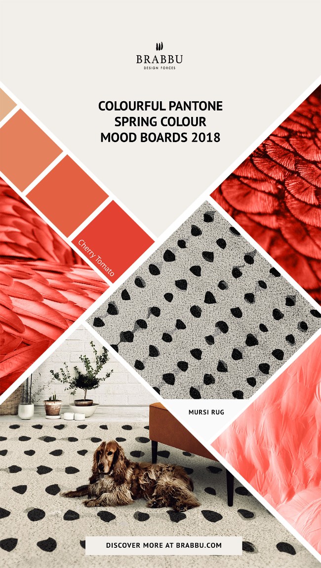 Spring Colour Trends 2018 A Pop of Colour With BRABBU's Rugs_Cherry Tomato