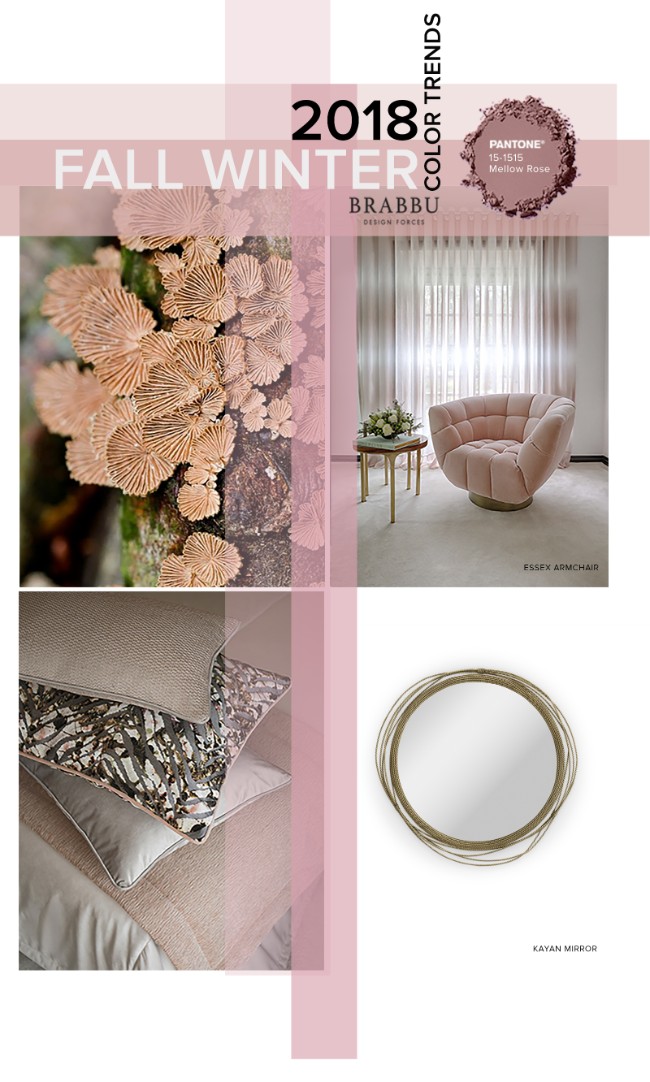 Fall Winter 2018_The Colours Unveiling New Home Decor Trends_Mellow Rose
