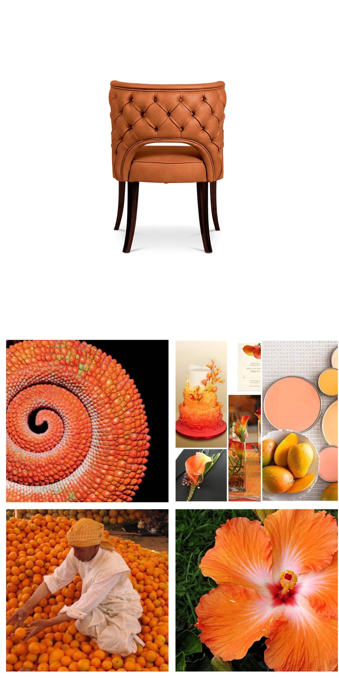 Meet the color palette for 2019 according to Pantone