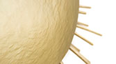 SOLEIL | Round Brass Wall Light by BRABBU