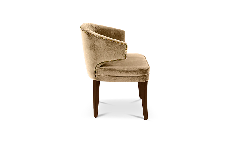 IBIS | Velvet Upholstered Dining Chair by BRABBU