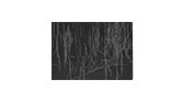 ENZ | Black Rectangular Botanical Silk Rug by BRABBU