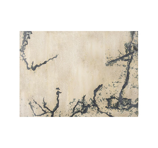 GOBI | Rectangular Botanical Silk Rug by BRABBU