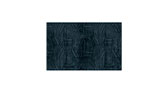 KAIWA | Blue Rectangular Wool Rug by BRABBU