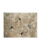 MACUSHI | Wool Rug Modern Design by BRABBU